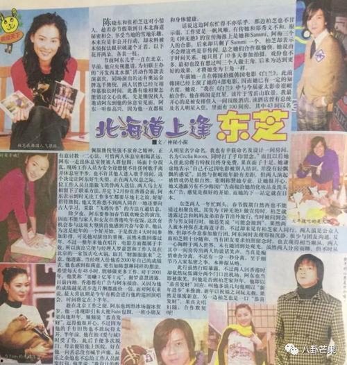 娱乐圈吃瓜的模板