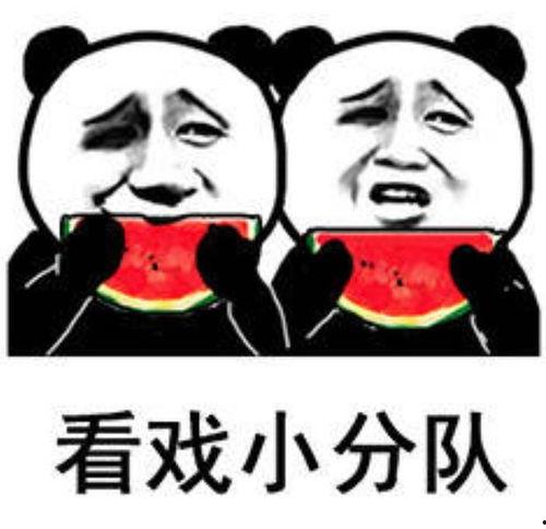 娱乐吃瓜酱表情包图片,趣味横生的网络潮流