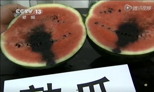 网上吃瓜的视频都是在哪看的呀