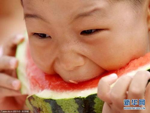 吃瓜比赛表情包动态,吃瓜比赛表情包动态,笑料百出!